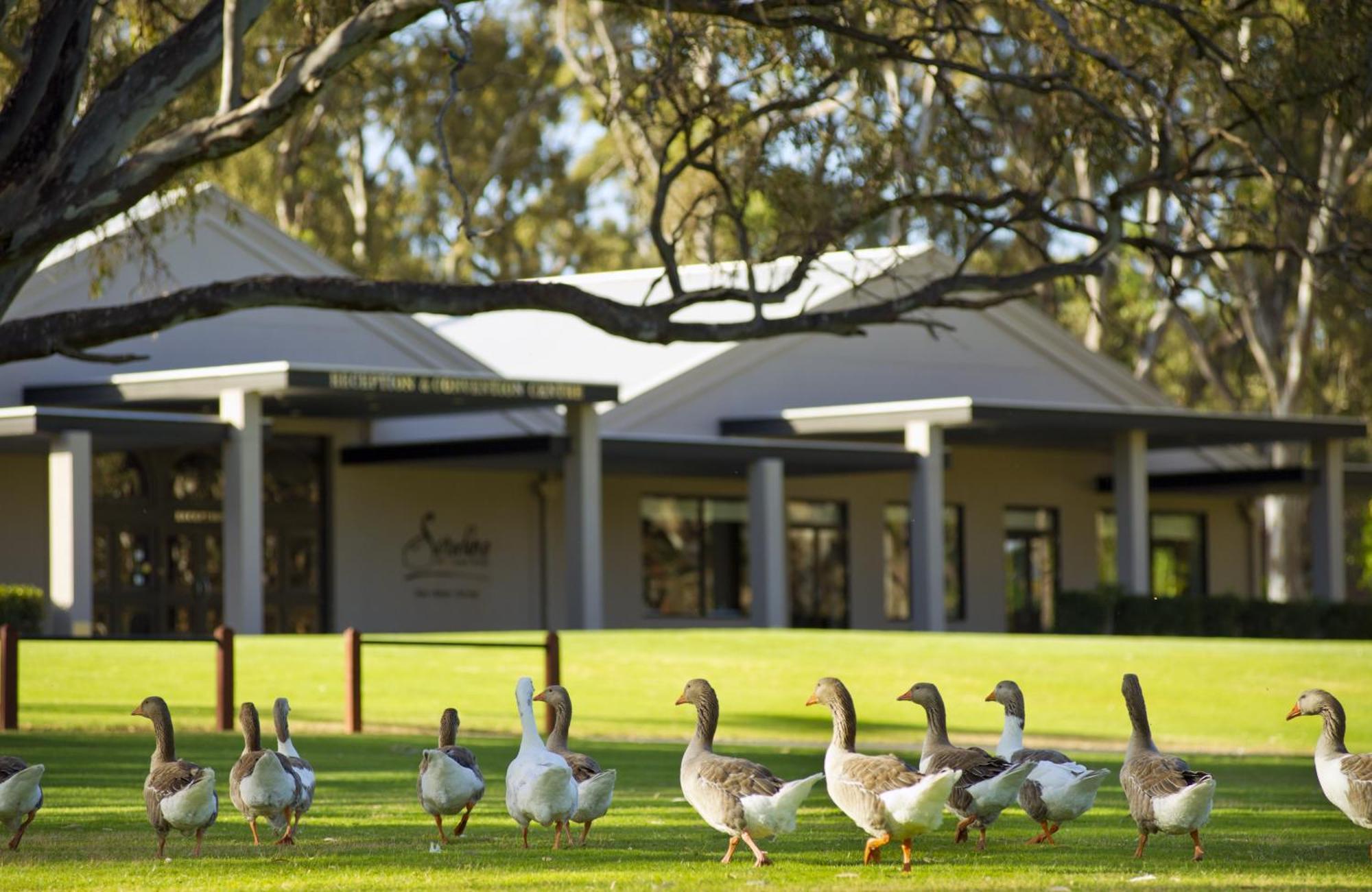 Serafino Mclaren Vale Exterior photo